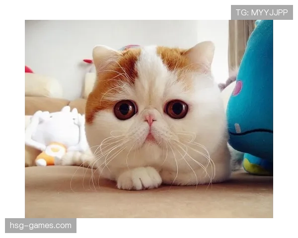 汪周雨训练场上的“钢铁直男”，私下却是甜到让人怀疑人生的软萌宠蛋？